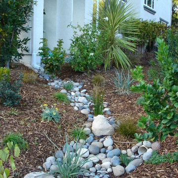 Natural Drainage