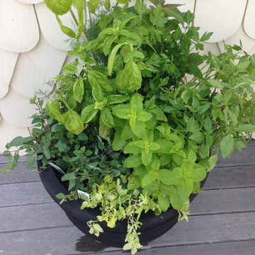 Vegetable & Herb Gardens