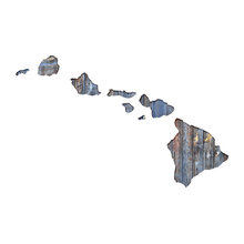 hawaii condo
