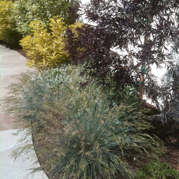 Plantings