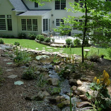 ponds