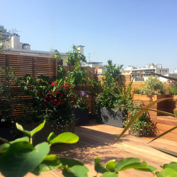 Aménagement paysager d'un rooftop à Paris