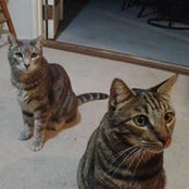 Calina North's photo