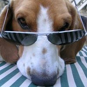 Alessandra Pattini's photo