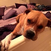 Renee Mateer's photo