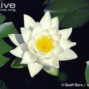 Amy Johnson's photo