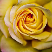 Cassandra Arnold's photo