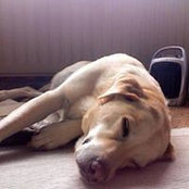 Chris Sharpe's photo