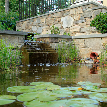 Water-Harvesting Fish Ponds