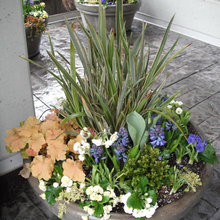 Spring containers