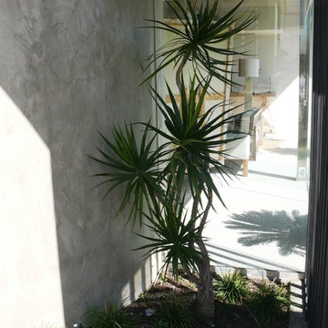 Waterwise Verge Planting