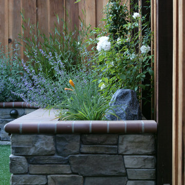 Willow Glen
