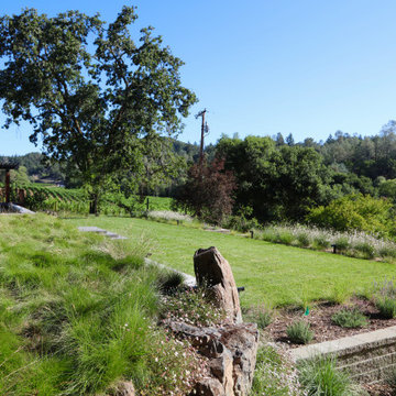 Poolside Rendezvous in Wine Country, Healdsburg