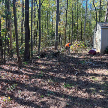 Landscape and Outdoor Property Improvement