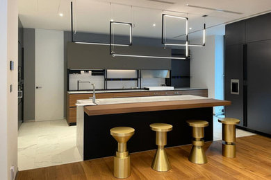 Inspiration for a modern kitchen remodel in Other