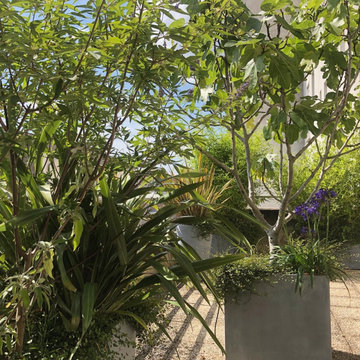 Aménagement paysager d'un rooftop à Malakoff