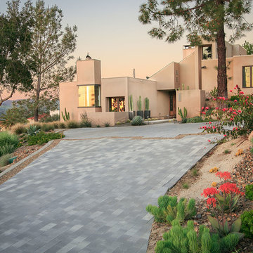 Mosaic Desertscape Style Front Walkway