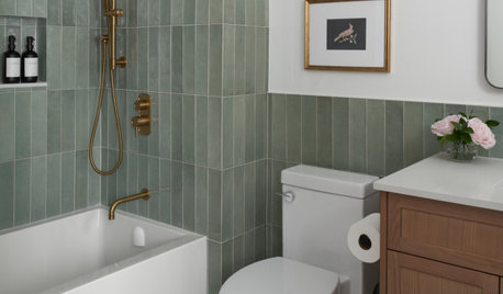 48-Square-Foot Bathroom Converted Into a Calming Oasis