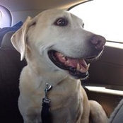 Cathy Cahill's photo