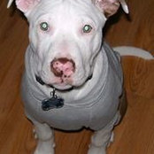 Tracie Jones-Robinson's photo