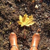 Jennifer Brechlin Soderberg's photo