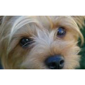 Melinda Johnson's photo