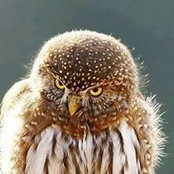 Val Douglas's photo