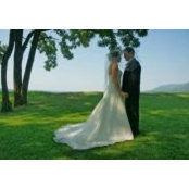 Christiana Levy's photo