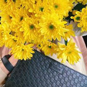 Trang Bống's photo
