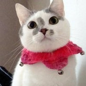 Susan Balzer's photo