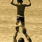 Manolis Halevelakis's photo