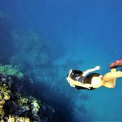 Sharon Luckman's photo