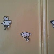 Leila Huwiler's photo