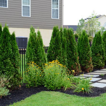 back yard ideas