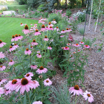 Whimsical Oasis