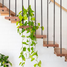 Beach House Fine Tuned Ideas