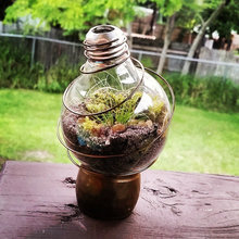My recycled glass terrariums.