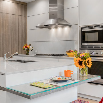 Modern modes in an eclectic Brookline, MA abode