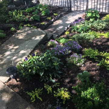 Williamsburg Shady Perennial Garden Design