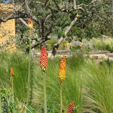 Jardin naturel en Provence