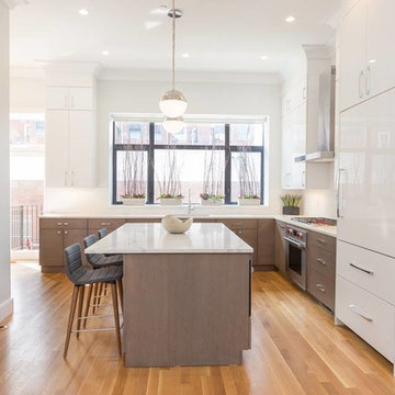South End 2 Unit Renovation