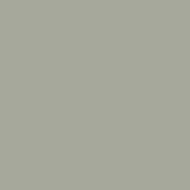 Sherwin Williams 6199 Rare Gray