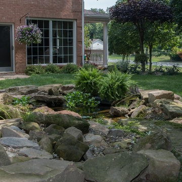 Woodland Stream & Pond