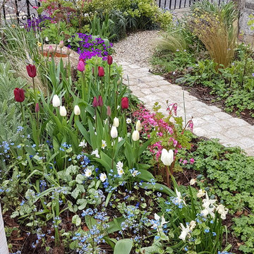 Perennial Garden in the City
