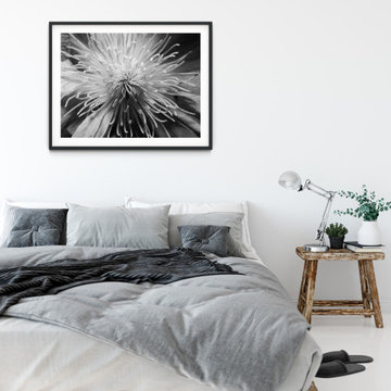 Center of Clematis Black and White Floral Nature Wall Art Prints