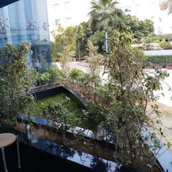 DELL INTERNATIONAL - Plants