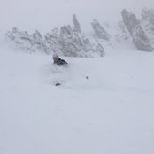 Amy Langmaid's photo