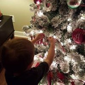 Amanda Anderson's photo