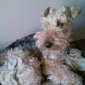 Ginny Abbott's photo