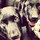 joeblack1